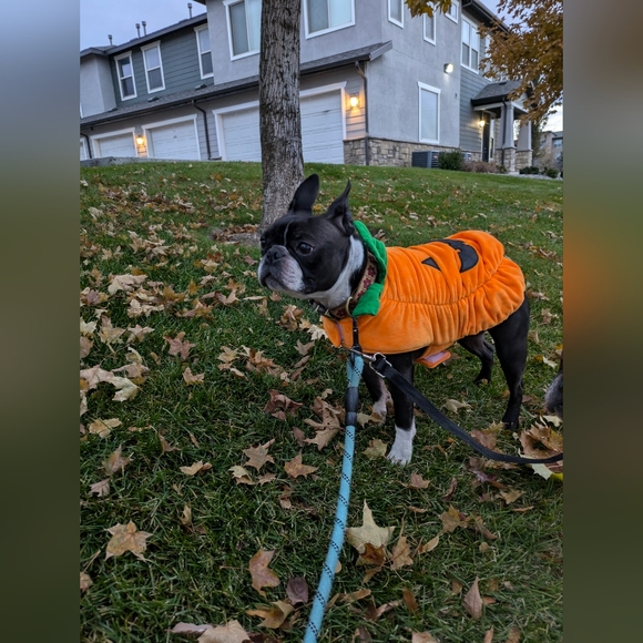 Hi, My name is Irelynd! 🤗 - Picture 11 of 12